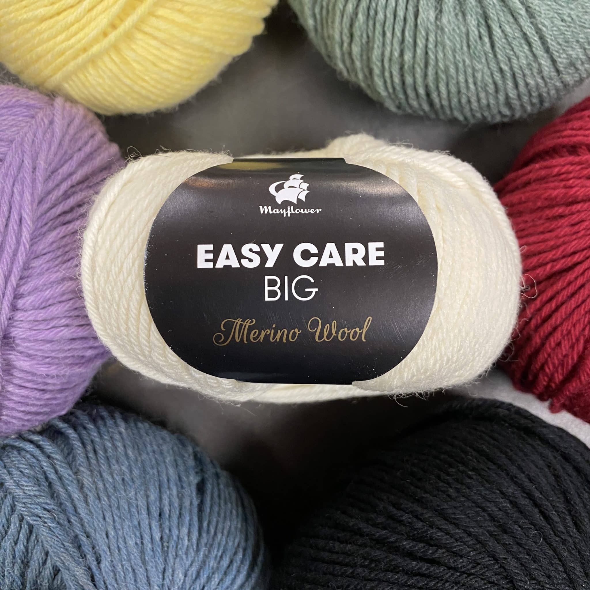 Easy care big forside