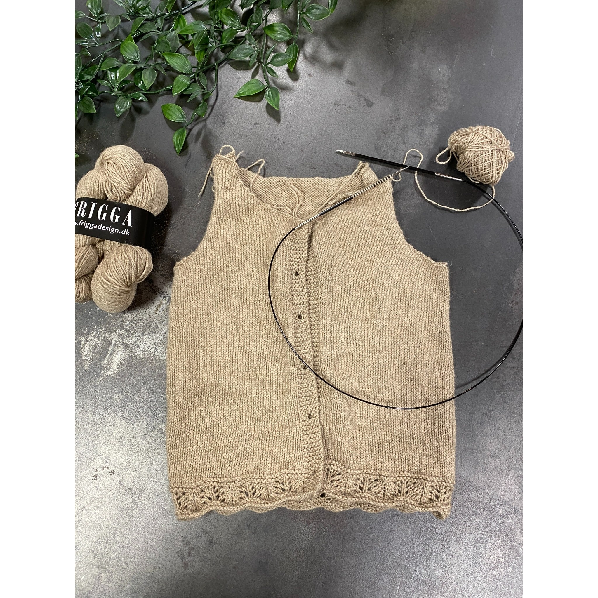 FR104 billeder a(60)